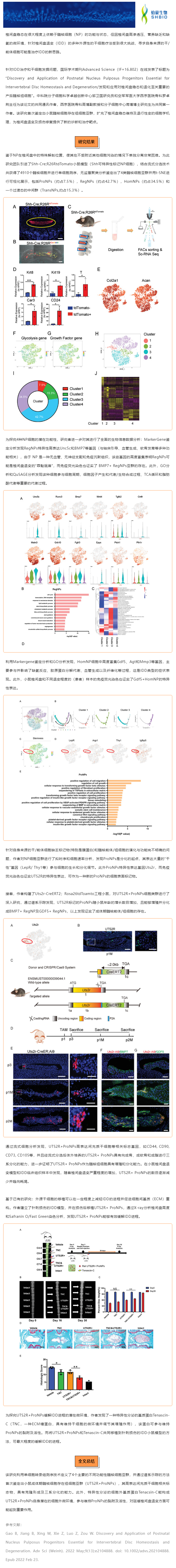 文獻解讀 | 鑒定和應用髓核前體細胞治療椎間盤退變