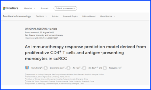 復旦大學鄒欣 / 郝潔團隊和上海交通大學胡曉勇團隊基于單細胞算法 scCODE 構(gòu)建精準腎透明細胞癌免疫治療預測模型（AUC=93%）