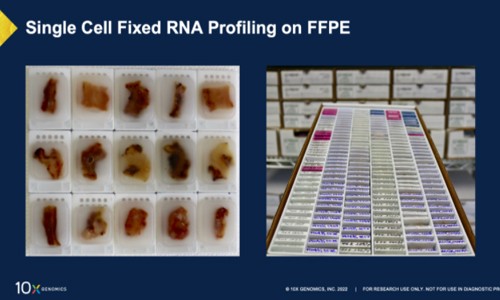 全方位解鎖 FFPE 樣本 |10x Genomics 單細胞 + 空間解決方案全方位解鎖 FFPE 樣本中蘊含的寶貴信息