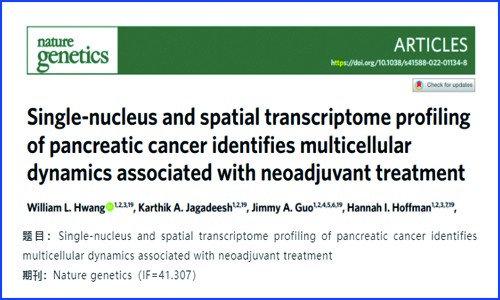 文獻解讀 | 胰腺癌的單細胞核測序和空間轉(zhuǎn)錄組分析識別與新輔助治療相關(guān)的多細胞動力學