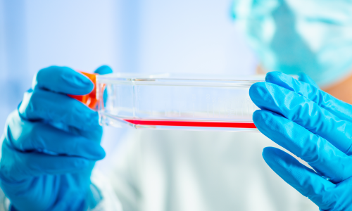 2022（第二屆）3D 細(xì)胞培養(yǎng)與類器官研討會