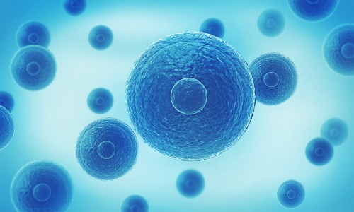 首屆西南單細(xì)胞組學(xué)技術(shù)應(yīng)用論壇