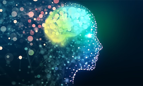 中國神經(jīng)學(xué)會 | 第十五屆全國學(xué)術(shù)會議