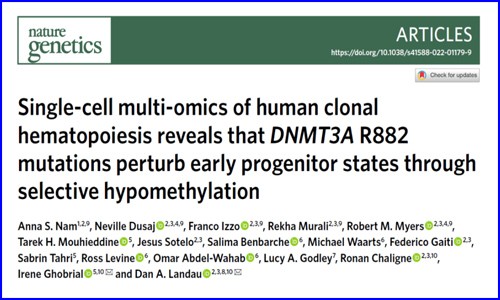Nat Genet | 基于單細(xì)胞多組學(xué)技術(shù)解析 DNMT3A R882 突變?cè)谌祟惪寺≡煅械挠绊?></a></div>
                        <div   id=
