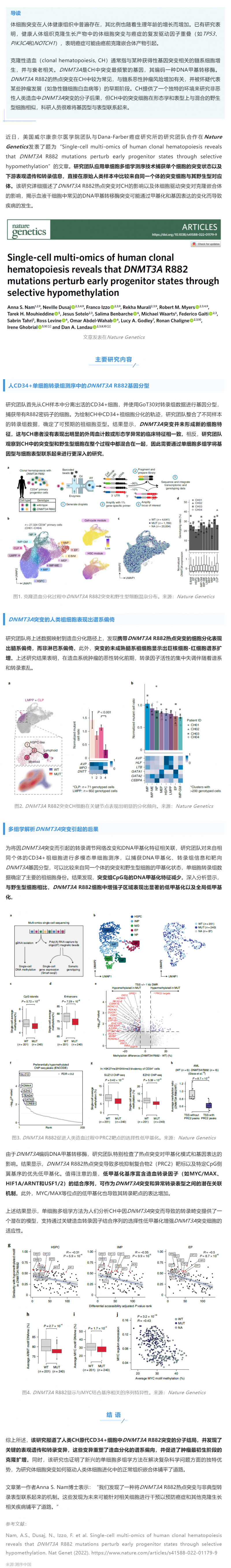 Nat Genet _ 基于單細胞多組學技術(shù)解析 DNMT3A R882 突變在人類克隆造血中的影響