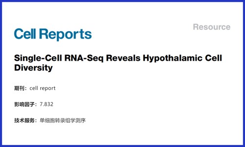 文獻解讀 | 單細胞 RNA-Seq 揭示下丘腦細胞多樣性