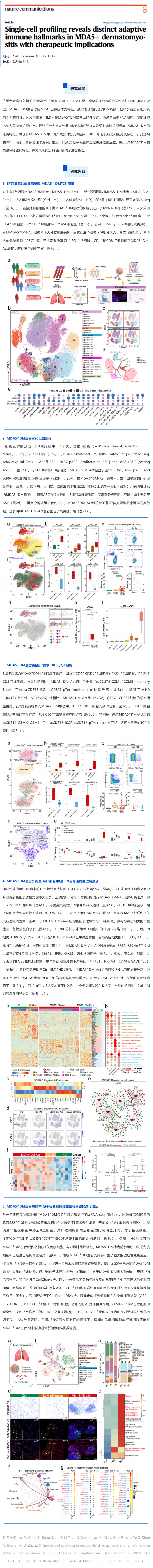 文獻(xiàn)解讀_單細(xì)胞分析揭示了 MDA5+ 皮肌炎的獨(dú)特適應(yīng)性免疫特征及其治療意義