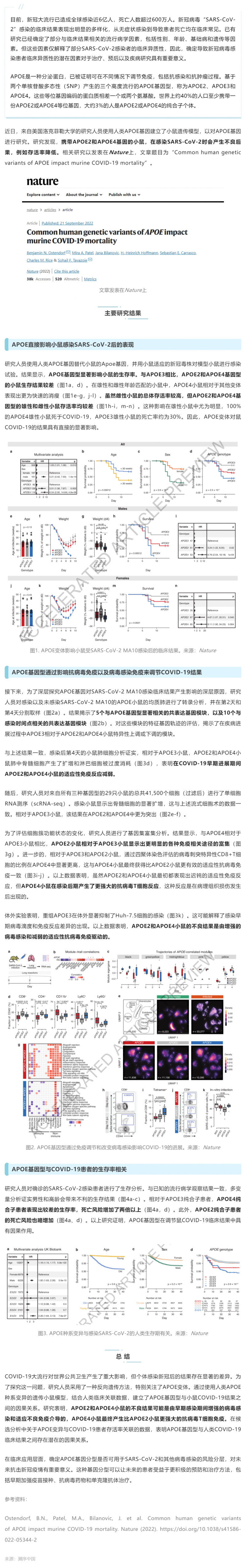 Nature _ 為什么有些人感染新冠后死亡風(fēng)險(xiǎn)高？研究揭示與 APOE 基因型有關(guān)