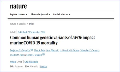 文獻(xiàn)解讀 |Nature 為什么有些人感染新冠后死亡風(fēng)險(xiǎn)高？研究揭示與 APOE 基因型有關(guān)！