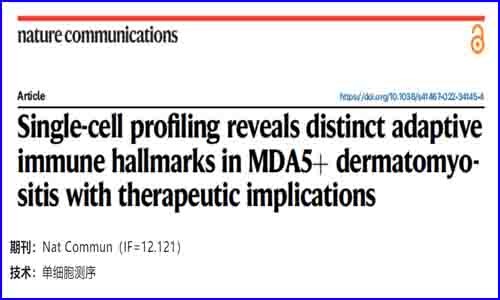 文獻解讀 | 單細胞分析揭示了 MDA5+ 皮肌炎的獨特適應性免疫特征及其治療意義