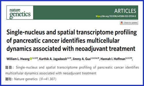 文獻解讀 | 胰腺癌的單核和空間轉(zhuǎn)錄組分析識別與新輔助治療相關(guān)的多細胞動力學