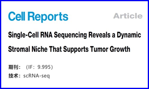 文獻解讀 |ScRNA-seq 揭示了動態(tài)基質生態(tài)位支持腫瘤生長