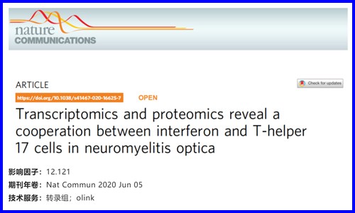 文獻解讀 | 轉錄組學和蛋白質組學揭示視神經脊髓炎中干擾素和輔助性 T 細胞 17 的協(xié)同作用