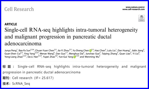 文獻解讀 | 單細胞 RNA-seq 揭示胰腺導管腺癌的腫瘤內異質性和惡性進展