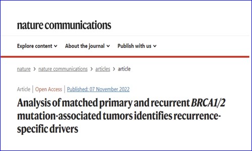 多組學(xué)測序 | BRCA1/ 2 基因突變揭示腫瘤復(fù)發(fā)的潛在驅(qū)動因素。