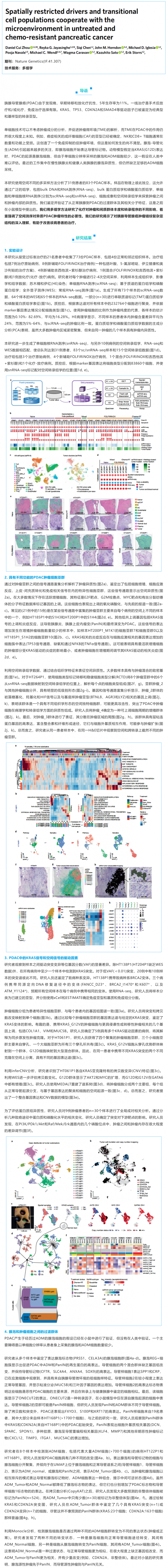 文獻解讀 | 未治療和化療耐藥胰腺癌中空間受限的驅動因子和過渡細胞群與微環境的互作 1