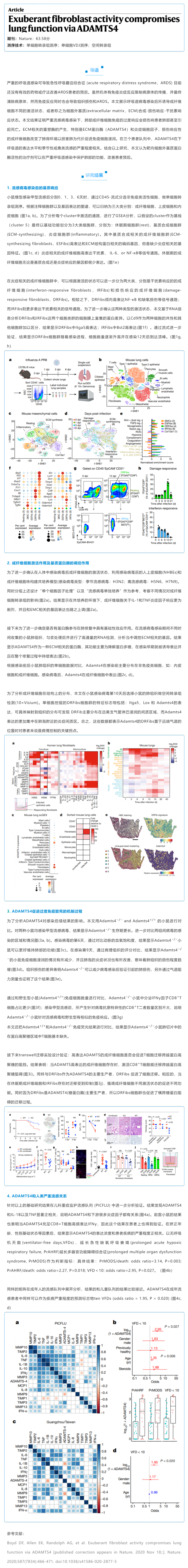 文獻解讀_旺盛的成纖維細胞通過激活 ADAMTS4 損害肺功能