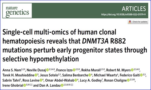 單細(xì)胞多組學(xué)技術(shù) | 解析 DNMT3A R882 突變在人類克隆造血中的影響