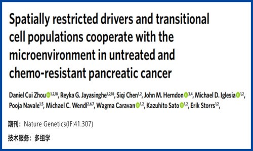 文獻(xiàn)解讀 | 未治療和化療耐藥胰腺癌中空間受限的驅(qū)動因子和過渡細(xì)胞群與微環(huán)境的互作