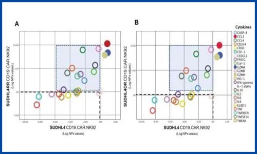 蛋白質組學 + 轉錄組學 | 細胞互作機制、分泌組學、標志物篩選一次搞定