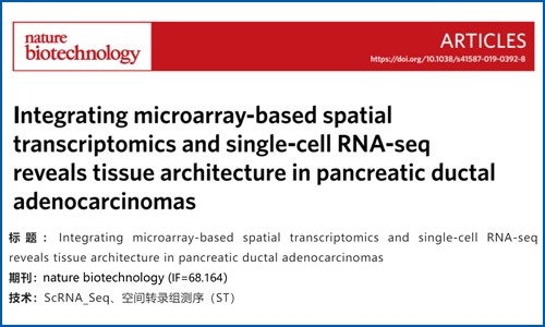 文獻(xiàn)解讀 | 結(jié)合基于微陣列的空間轉(zhuǎn)錄組和單細(xì)胞 RNA-seq 揭示胰腺導(dǎo)管腺癌的組織結(jié)構(gòu)