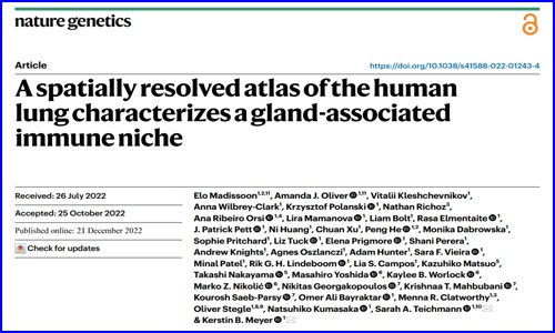 文獻(xiàn)解讀 |Nat Genet 發(fā)布迄今最全面的人類肺細(xì)胞空間圖譜，首次揭示腺體相關(guān)的免疫生態(tài)位