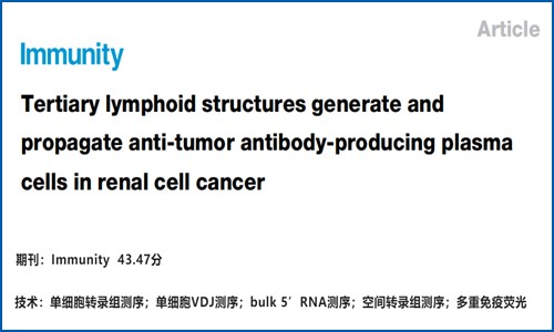 文獻(xiàn)解讀 | 腎透明細(xì)胞腫瘤三級淋巴結(jié)構(gòu)產(chǎn)生抗腫瘤活性的漿細(xì)胞并促進(jìn)其傳播