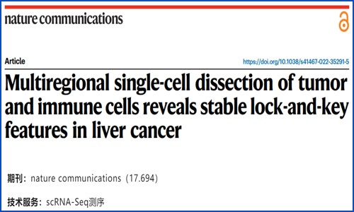 文獻解讀 | 基于多區域單細胞測序揭示肝癌組織中腫瘤細胞與免疫細胞鑰鎖特性