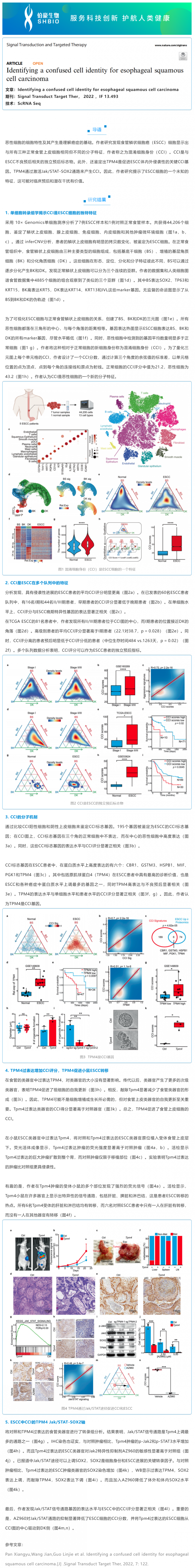 2023-01-12 文獻(xiàn)解讀 | 鑒別食管鱗狀細(xì)胞癌的混淆細(xì)胞