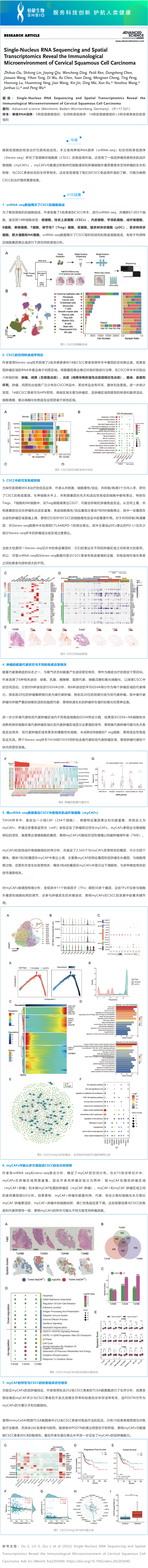文獻(xiàn)解讀 | 單核 RNA 測(cè)序和空間轉(zhuǎn)錄組學(xué)揭示宮頸鱗狀細(xì)胞癌的免疫微環(huán)境