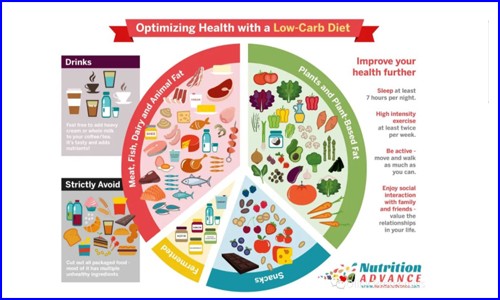 文獻(xiàn)解讀 |Olink 蛋白組學(xué)幫您精準(zhǔn)分辨低脂還是低碳水