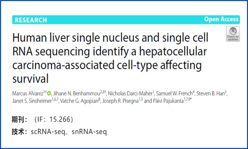 文獻解讀 |snRNA-seq 和 scRNA-seq 鑒定影響生存的肝細胞癌相關細胞類型