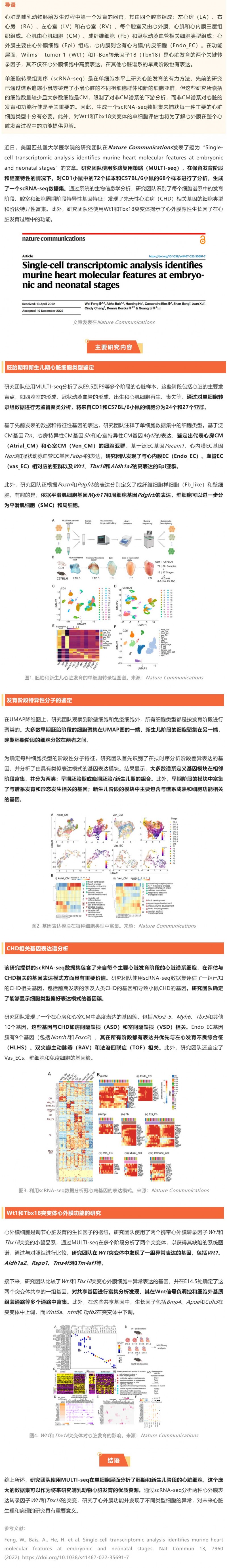 2023-01-31-Nat-Commun 發表胚胎及新生兒期小鼠心臟單細胞轉錄組圖譜，揭示先天性心臟病相關基因的細胞類型及