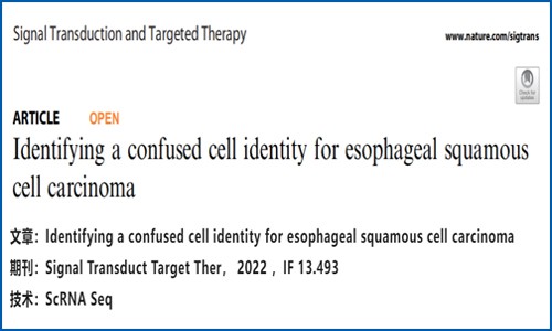 文獻(xiàn)解讀 | 鑒別食管鱗狀細(xì)胞癌的混淆細(xì)胞