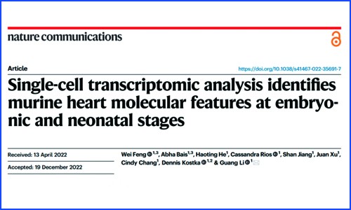 文獻解讀 |Nat Commun 發表胚胎及新生兒期小鼠心臟單細胞轉錄組圖譜，揭示先天性心臟病相關基因的細胞類型及階段特異性富集