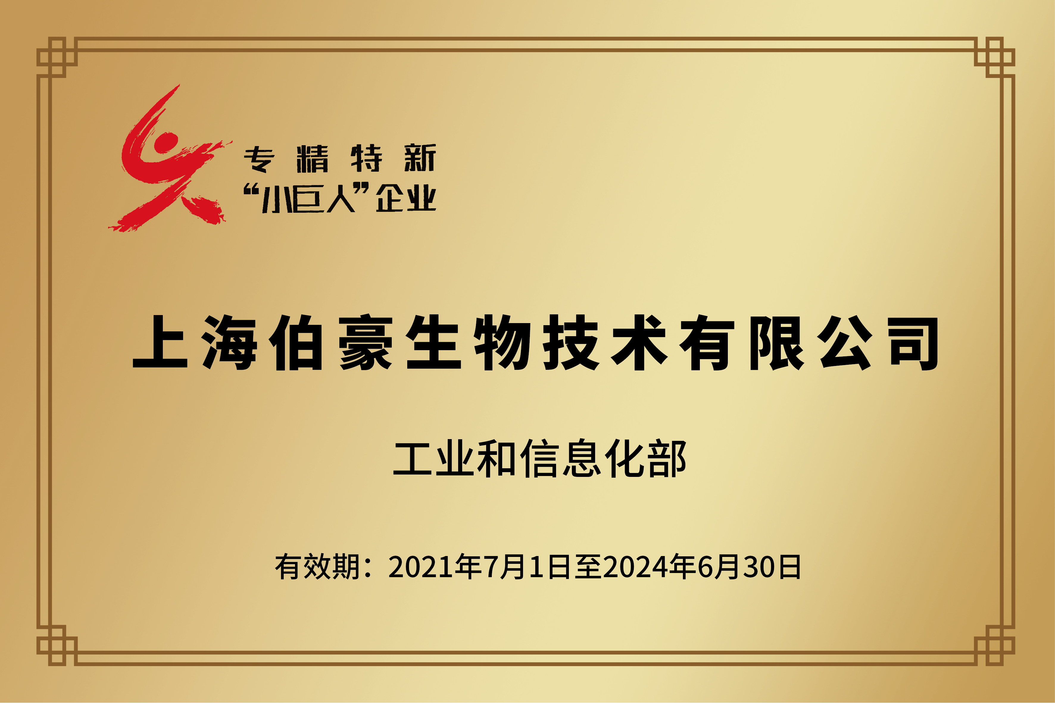 國家級專精特新“小巨人”企業(yè)