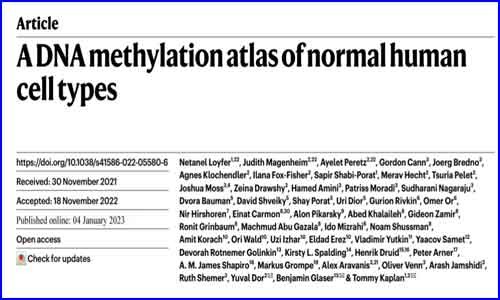 文獻解讀 | Nature 人類細胞類型 DNA 甲基化圖譜揭示不同個體相同細胞類型的甲基化模式極其相似