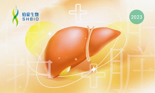 文獻解讀 |scRNA-seq 揭示 HBV 感染患者與疾病階段相關(guān)的肝內(nèi)和外周免疫特征