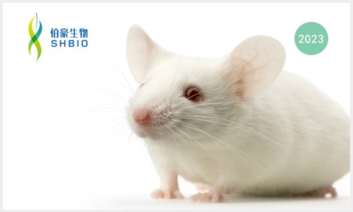 項(xiàng)目文章 | 單細(xì)胞 RNA 測(cè)序聯(lián)合單細(xì)胞蛋白質(zhì)組學(xué)鑒定小鼠胰島細(xì)胞亞群對(duì)高脂飲食的代謝適應(yīng)性調(diào)控