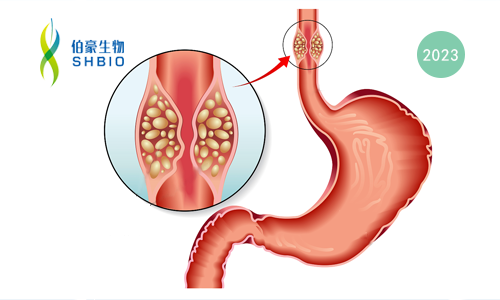 文獻解讀 | 食管癌的單細胞轉(zhuǎn)錄景觀及其對新輔助化療的調(diào)控