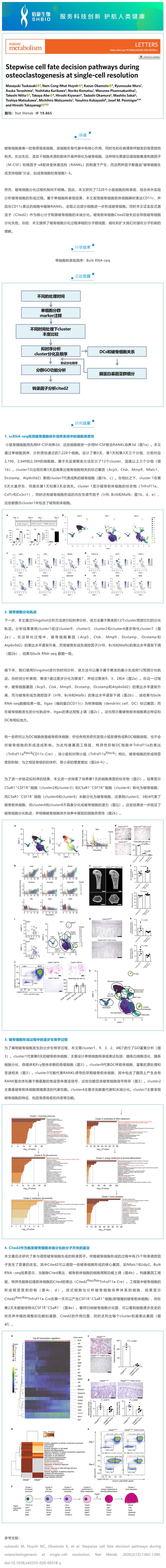 2023-03-29- 文獻(xiàn)解讀 | 單細(xì)胞分辨率下破骨細(xì)胞形成過程
