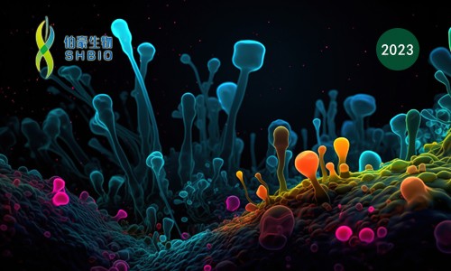 文獻(xiàn)解讀 | 不同腫瘤的癌細(xì)胞狀態(tài)復(fù)發(fā)以及與腫瘤微環(huán)境特定的相互作用