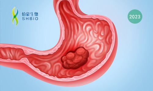 文獻(xiàn)解讀 |ARID1A 缺失胃癌的綜合分子表型揭示了普遍的表觀基因組重編程和治療機(jī)會(huì)
