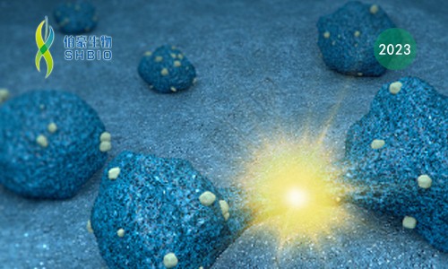 高分文獻一作分享會 | 單細胞測序揭示腫瘤異質性及腫瘤微環(huán)境特征