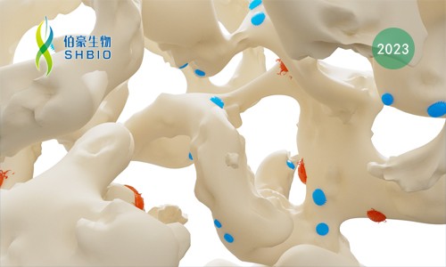 單細胞項目文章 | SCUBE2 調(diào)控免疫抑制的成骨細胞微環(huán)境介導 luminal 型乳腺癌的骨轉(zhuǎn)移