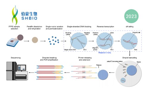 登陸 Nature Communications-M20 Seq 技術(shù)實現(xiàn) FFPE 樣本高性能檢測