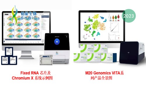 技術(shù)大比 | 單細胞 RNA 測序選 M20 還是 Flex?