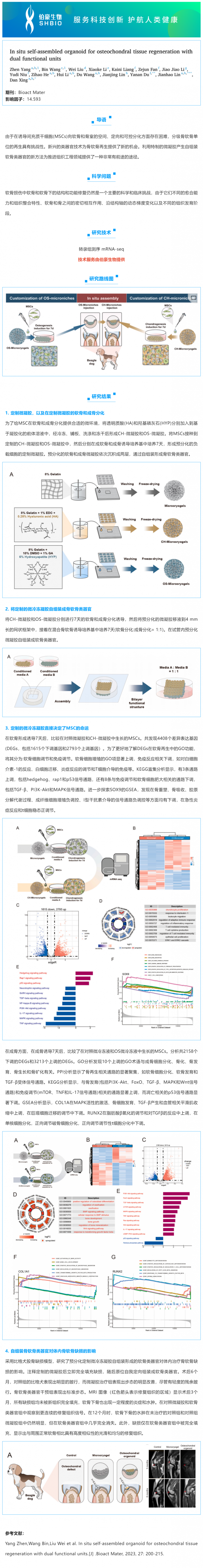 mRNA-seq 項目文章 | 原位自組裝類器官用于軟骨組織再生