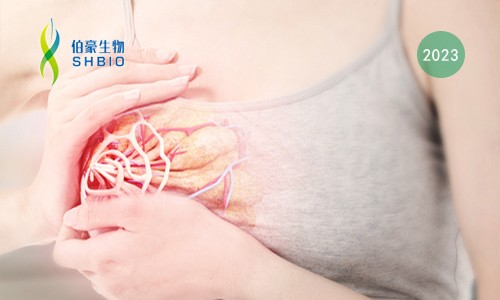 文獻解讀 | 結(jié)合單細胞和空間轉(zhuǎn)錄組揭示乳腺癌傳播過程中的代謝演變