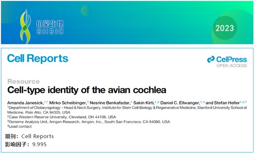 文獻解讀 | 鳥類耳蝸單細胞圖譜